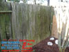 wood fence power washing Katy Texas