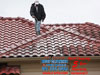 tile roof cleaning Houston Texas